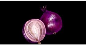 Drawing of Onion by Eclat de Lune