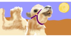 Drawing of Camel by Temüjin