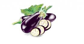 Drawing of Eggplant by Chaching