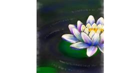 Drawing of Water lily by Kelsey 