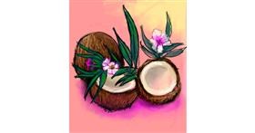 Drawing of Coconut by Mea