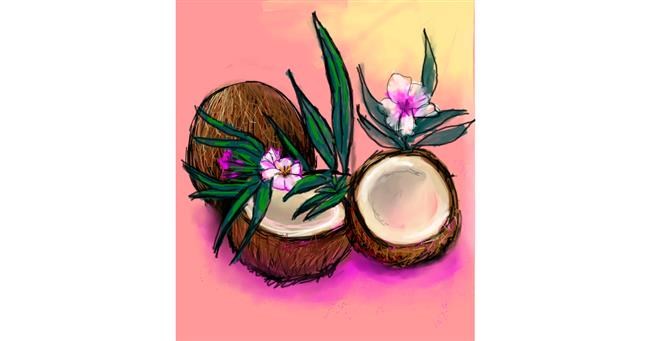 Drawing of Coconut by Mea