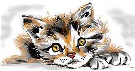 Drawing of Kitten by Swimmer