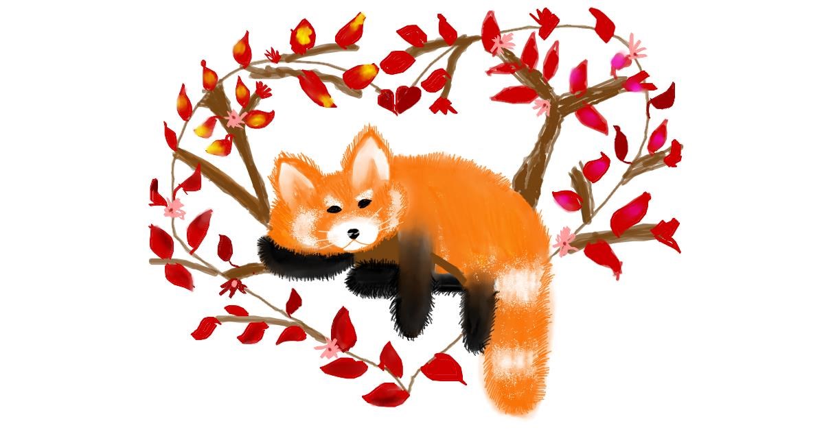 Drawing of Red Panda by Tokyo