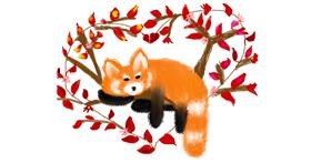 Drawing of Red Panda by Tokyo