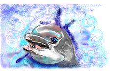 Drawing of Dolphin by Suzie