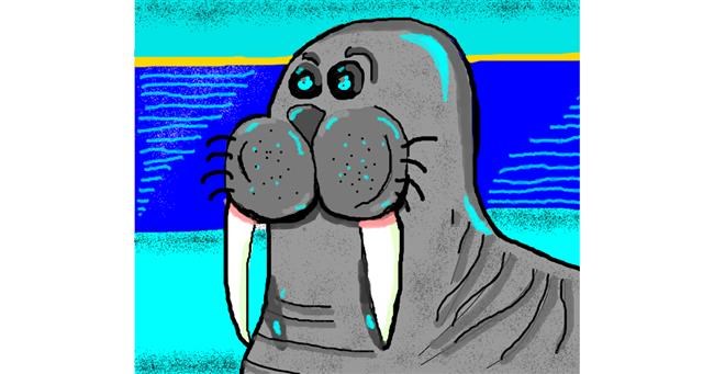 Drawing of Walrus by Janny Boy