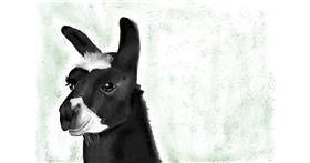 Lama-Zeichnung von ImagineBastille