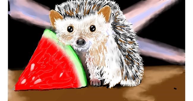 Drawing of Hedgehog by SAM AKA MARGARET 🙄