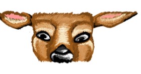 Drawing of Deer by Whispful