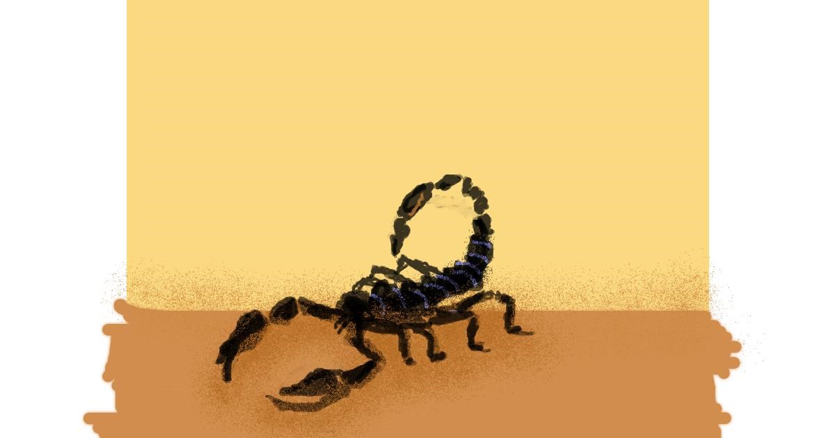 Drawing of Scorpion by Anonymous