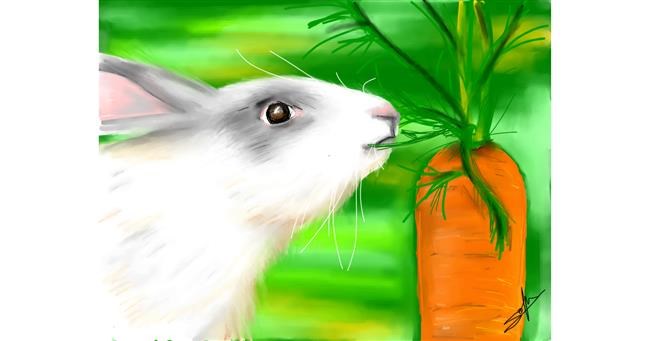 Drawing of Carrot by Sophie_draw24