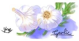 Češnjak - autor: 糖葫芦