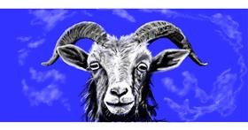 Drawing of Goat by Chaching