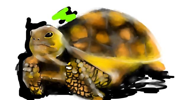 Schildkröte-Zeichnung von Mandy Boggs
