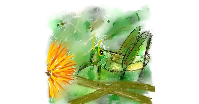 Drawing of Grasshopper by Eclat de Lune