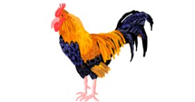 Drawing of Chicken by Cherri