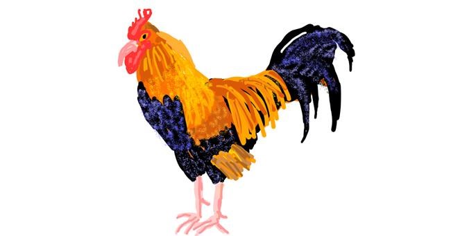 Drawing of Chicken by Cherri