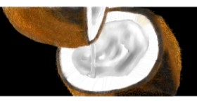 Drawing of Coconut by Kim