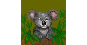 Drawing of Koala by KayXXXlee