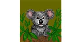 Drawing of Koala by KayXXXlee