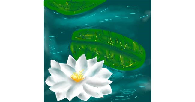 Drawing of Water lily by Kanaran