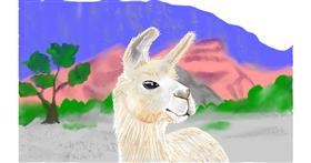 Drawing of Llama by Tim