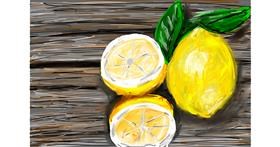 Drawing of Lemon by Mia