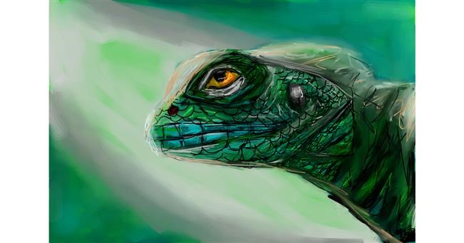 Drawing of Lizard by Mia