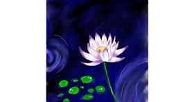 Drawing of Water lily by Batman