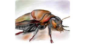 Drawing of Cockroach by Satoru