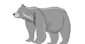 Drawing of Bear by Vicki