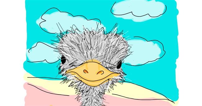 Drawing of Ostrich by Jennifreis