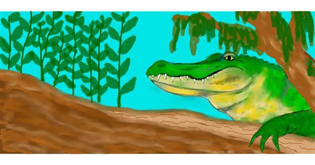 Drawing of Alligator by Debidolittle