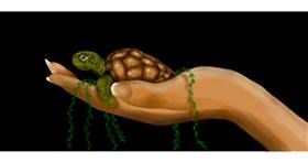 Schildkröte-Zeichnung von Annie