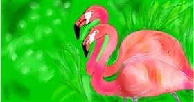 Drawing of Flamingo by Maggy