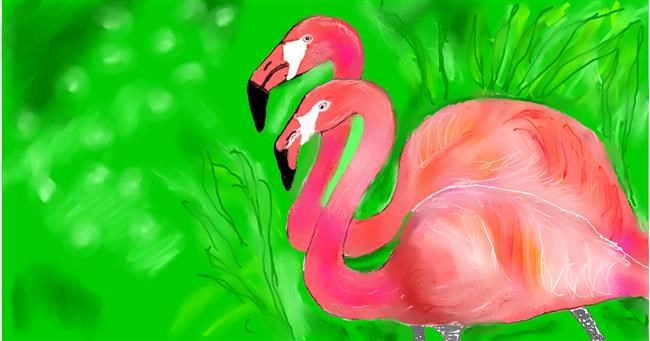 Flamingo-Zeichnung von Maggy