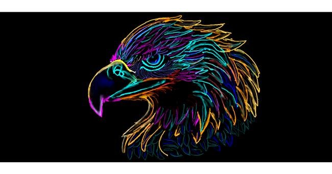 Drawing of Eagle by Kim