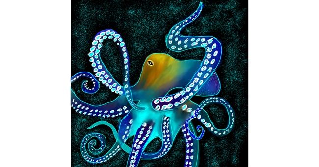 Drawing of Octopus by Rash