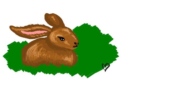 Drawing of Rabbit by Whispful
