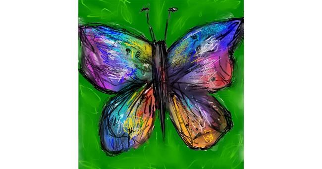 Schmetterling-Zeichnung von KayXXXlee