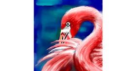 Drawing of Flamingo by ⋆su⋆vinci彡