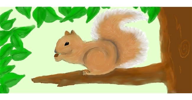 Drawing of Squirrel by Debidolittle