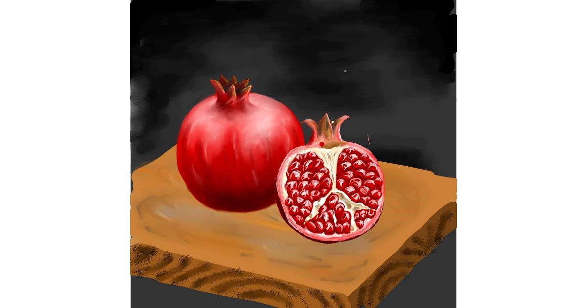 Drawing of Pomegranate by Andromeda