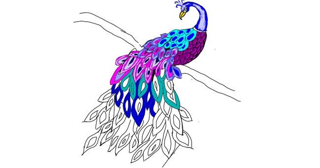 Drawing of Peacock by Leo🐾