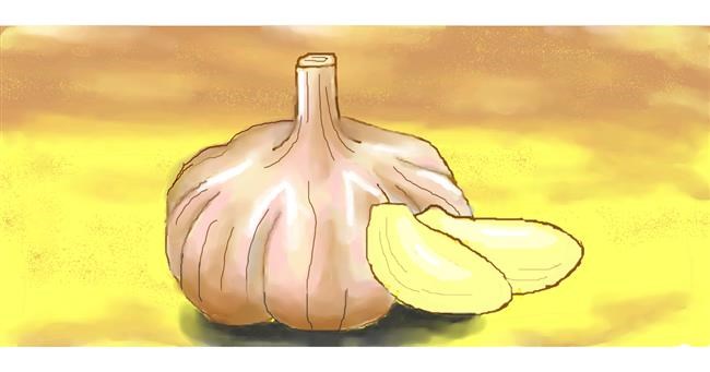 Drawing of Garlic by Alex