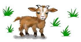Drawing of Goat by justme❤️