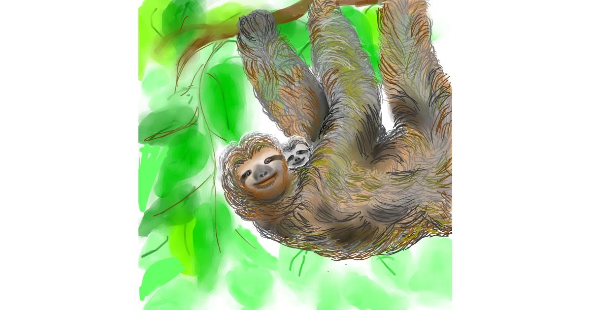 Drawing of Sloth by Keke