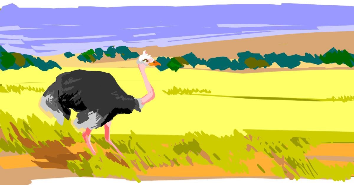 Drawing of Ostrich by seaturt