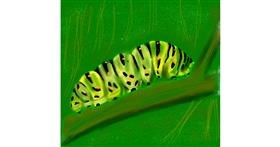 Drawing of Caterpillar by Kathy